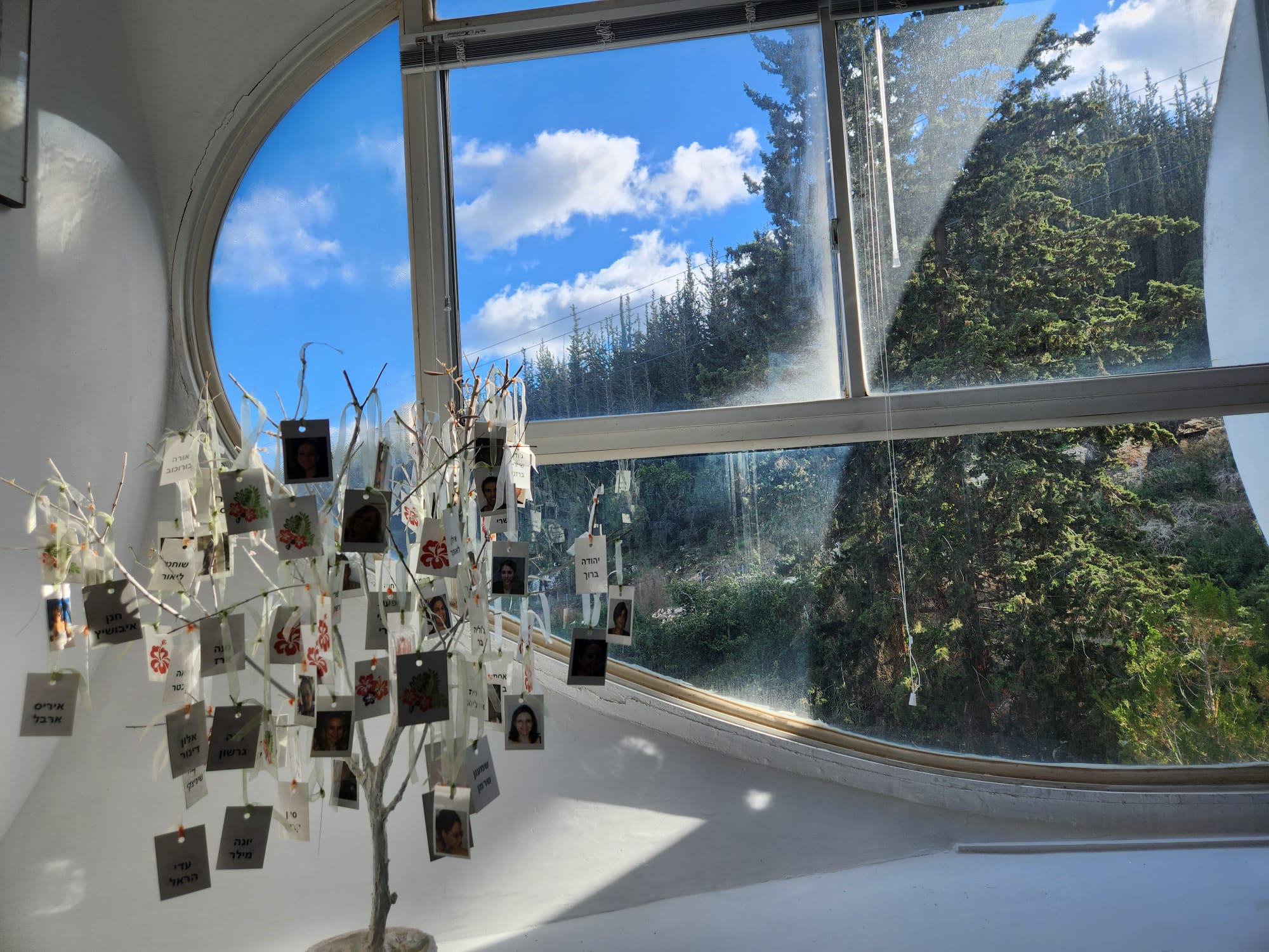 Students' Tree 2023
